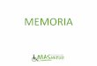 MEMORIA - masnatur.org · MASNATUR se constituye en Madrid en julio de 1997. Por O.M. de 7-10-97 del Ministerio de Trabajo y Asuntos Sociales se clasi-fica como benéfica de asistencia