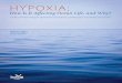 Hypoxia: How is it Affecting Ocean Life, and Why?€¦ · HYPOXIA: How Is It Affecting Ocean Life, and Why? Francis Chan (right) and Mike Donnellan (left) run a test on dissolved