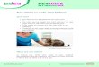 Ear mites in cats and kittens - PDSA › media › 6846 › phh_cat_c_ear-mites-in-cats. · PDF file Ear mites in cats and kittens Overview • Ear mites are tiny parasites that can