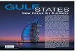 New Focus for Business - globalbusiness.uk.com › pdfs › 2001 › 2001-12-gulfstates.pdf · parks, shopping and sporting attractions. The Gulf states exhibit a new willingness