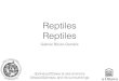 reptiles - University of Ottawa 2015-05-27¢  Reptiles Reptiles Gabriel Blouin-Demers Gatineau/Ottawa