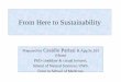 From Here to Sustainability - University of Western …From Here to Sustainability Prepared by Cesidio Parissi B.App.Sc.EH (Hons) PhD candidate & casual lecturer, School of Natural