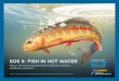 SOS II: FISH IN HOT WATER - California TroutSOS II: FISH IN HOT WATER Status, threats and solutions for California salmon, steelhead, and trout. Based on a report by Dr. Peter B. Moyle,
