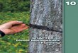 (Chapter Background Photo WDNR, Jeff Martin)dnr.wi.gov › topic › ForestManagement › ... › chapter10.pdf · Chapter 10 – Forest Management Planning 10-2 A forest management