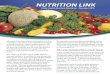 Nutrition Link. New Brunswick Public Health Nutrition ... · and Education and Early Childhood Development, developed the policy to address Government’s commitment to promote local