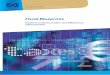 Fiscal Blueprintsec.europa.eu/.../info_docs/taxation/fiscal_blueprint_en.pdf · 2016-09-13 · During the meeting of the Liaison Group (Technical Assistance 1— Taxation) ( ) held