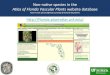 Atlas of Florida Vascular Plants website databaseplants.ifas.ufl.edu › wp-content › uploads › files › mng › fwc...Atlas of Florida Vascular Plants • culmination of the