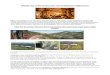 Ride the Outeniqua Electric train and explore the Outeniqua …bushmansquiver.co.za › wp-content › uploads › 2017 › 03 › WESTERN... · 2017-03-16 · • Visit the Emu Camp