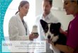 IDEXX Laboratories, Inc. · 3 © 2018 IDEXX Laboratories, Inc. All rights reserved. IDEXX – Our Focus on Pet Healthcare Technology Diagnostics and Software • Global leadership