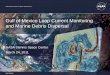 Gulf of Mexico Loop Current Monitoring and Marine Debris ... · Gulf of Mexico coastlines • Attempt to identify point sources of marine debris in the Gulf of Mexico by incorporating