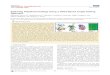 Exploring Polypharmacology Using a ROCS-Based Target ... · drug to market.6 Computational approaches have traditionally focused on studying ligand interactions with a single target
