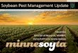 Soybean Pest Management Update · Soybean Pest Management Update David Kee ... 12/12/19 Prairie Grains Update. MSR&PC FY19 Production Projects • MN soybean funded 25 production