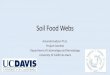 Soil Food Webs - UC Agriculture & Natural Resourcesmgeldorado.ucanr.edu/files/250718.pdf · •Nematodes 10,000 •Arthropods 1000 •Earthworms 0 to 2. 2. Soil animal categories