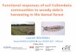 Functional responses of soil Collembola … › ... › Colloque › Colloque2016_LaurentRousseau.pdfFunctional responses of soil Collembola communities to woody debris harvesting