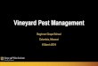 Vineyard Pest Management - The Grape & Wine Institute · 2019-05-20 · • Bitter rot – raisined soft berries, sooty residue when handled – Overwinters on leaves, berries, dead