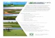 Tifway 419 Bermudagrass - Atlas TurfTifway 419 Bermudagrass Tifway 419 Bermudagrass has been the most popular sports turfgrass for the last 40 years. Developed by the pioneers of turfgrass