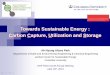 Towards Sustainable Energy : Carbon Capture, Utilization ...energy.columbia.edu/files/2014/02/0-Park-2014-RCN-annual-meeting.… · Carbon Capture, Utilization and Storage Technologies