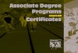 Associate Degree Programs Certificates · Bachelor's degree in Graphic Design. Students should consult the catalog of the transfer institution for specific requirements. Students