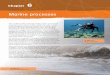 Marine processes - Pearson Educationassets.pearsonschool.com › asset_mgr › current › 201219 › Geograph… · Marine processes Chapter 6 Th e coastline is where the land and