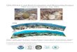 EPA/NOAA Coral Reef Evaluation and Monitoring Projectocean.floridamarine.org/indevelopment/fknms/docs/...global scales are continuing to have negative impacts on coral reefs in the