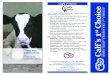 Calf’s 1st Choicecomplete-feed.com/Calf's 1st Choice Brochure.pdf · Vita Plus dealership or call the toll free number below: 1.800.362.8334 Vita Plus Corporation PO Box 259126,