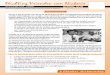 Stichting Vrienden van Nickerie › vvn-nieuws › 2005-10-13 Bibit voor web 2005.pdf · < het diabetesproject om mensen voor te lichten wat de gevolgen zijn van het hebben van suikerziekte