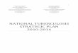 NATIONAL TUBERCULOSIS STRATEGIC PLAN 2010 · 9. Strategic objectives, strategies and implementation approaches ..... 22 9.1 For the period 2010-2014 the NTP has the following strategic