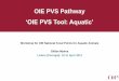 OIE PVS Pathway PVS T… · Workshop for OIE National Focal Points for Aquatic Animals Gillian Mylrea Lisbon (Portugal): 19-11 April 2013 OIE PVS Pathway ... feedback from interested