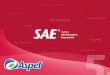 Estructura SAE 5 · Antecedentes • Aspel-SAE nace hace más de 20 años como una solución para controlar el ciclo de las operaciones de compra-venta de las empresas. • A lo largo