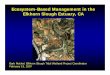 Ecosystem-Based Management in the Elkhorn Slough Estuary, CAelkhornslough.org/tidalwetland/downloads/EBM_Pres_Feb_07.pdf · Estuarine Restoration as EBM Predicting Tidal Hydrology