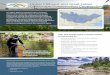 Upper Midwest and Great Lakes Landscape Conservation … · 2017-06-28 · problems in the Upper Midwest and Great Lakes region. The Upper Midwest and Great Lakes Landscape Conservation