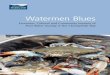 Watermen Blues: Economic, Cultural and Community Impacts ... · Chesapeake Bay Agree-ment of December 1983 created a region-wide partnership “to improve and protect the water quality