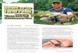 Down on the Farm Pond · flies invoke from heavier bass and panfish, while longer rods make it easier to cast greater distances from shore. Farm ponds often feature open surroundings