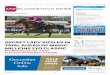 December SALE Online OPEN Sale - ANZ Bloodstock News › wp-content › ... · showing similar traits to She Will Reign at the same stage of their careers. ... a great attitude. Peter