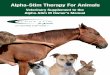 Veterinary Supplement to the Alpha-Stim M Owner’s Manual€¦ · Veterinary Supplement to the Alpha-Stim M Owner’s Manual ... **These joints need to have the final star be applied