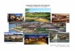 Castle Ranch Estates - Tripodcameron98.tripod.com › sitebuildercontent › sitebuilderfiles › ...Castle Ranch Estates Indian Springs, CA. 4 Executive Summary: On the doorsteps