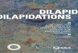 DILAPI DILAPIDATION DILAPIDATIONS DATIONS DILAPIDATIONS. Dilapidations are a state of disrepair in property