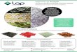 Segmento de Atuação - Lap Mosaicos€¦ · Segmento de Atuação Atua em construção e decoração, fabricando mosaicos em pedras naturais para aplicação em pisos e paredes 