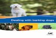Dealing with a barking dog - Swan Hill Rural City Council · • A dog owner may not realise the barking is a nuisance to neighbours. • The dog owner may not be home when thedog