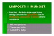 LIMFOCITI I IMUNOSTkfiziolbiohem.vet.bg.ac.rs/wp-content/uploads/2020/04/07...2020/04/07  · ćelije, razvijen GER) koje sintetišu At Ako se Ag veže za nezreli B limfocit nastaje