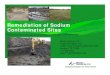 Remediation of Sodium Contaminated Sitesprojectnavigator.com/downloads/session_1_soil... · Factors Affecting Salt Damage ... free calcium needed for sodium displacement becomes unavailable