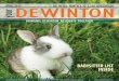 your DEWINTONDELIVERED MONTHLY TO 2,300 HOUSEHOLDS · 2015-04-01 · 6 APRIL 2015 I Great News Publishing I Call 403-263-3044 for advertising opportunities DEWINTON I APRIL 2015 7
