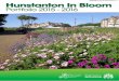 Hunstanton In Bloom - west-norfolk.gov.uk › download › downloads › ... · Hunstanton in Bloom Committee take pride in the town’s own achievements, but it is also pleased that