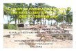 A STUDY OF FOUNDATION SCOUR IN THE EAST COAST OF SRI … › iiirr › files › iiirr › study... · a study of foundation scour in the east coast of sri lanka due to tsunami 2004