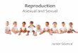 Reproduction - Weebly › uploads › 2 › 4 › 0 › 6 › ... · Types of Sexual Reproduction • Internal fertilization is the fertilization of the egg by the sperm within the