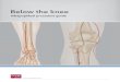 Below the knee - Cook Medical › data › resources › PI-NAM-11394... · 2019-03-29 · support for your infrapopliteal interventions. Target lesions below the knee with optimal
