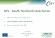 SEV - South Tyrolean Energy Union › f › files › download › 20190215-final... · SEV Service Board CEO Secretariat Commercial Services (trading, billing, etc.) E-Mobility Members