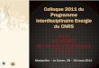 Atelier Acceptabilité des Nouvelles Technologies d’Energieenergie.promes.cnrs.fr/IMG/pdf/ATELIER_ACCEPTABILITE_IK.pdf · Montpellier – Le Corum, 28 – 30 mars 2011. Atelier