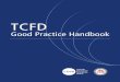 TCFD - Sustainability Accounting Standards Board · Introduction . In May 2019, the Climate Disclosure Standards Board (CDSB) ... CDSB Framework and the SASB standards can be helpful