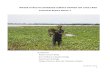 WATER HYACITH COVERAGE SURVEY REPORT ON LAKE TANA ... › wp-content › uploads › 2017 › 06 › ... · water hyacinth was basically removed from the lake through this manual